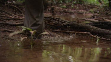 Two sets of shoes walk away from the camera in Venezuelan rainforest, filmed from the ground.