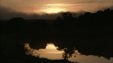 Silhouettes of trees against clouds, South Africa.