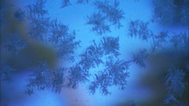 Close up of ice formed on a blue car.