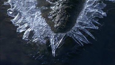 A puddle with newly formed ice on top of it.