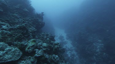 Coral drop off and sandy seabed, shallow waters. Few fish