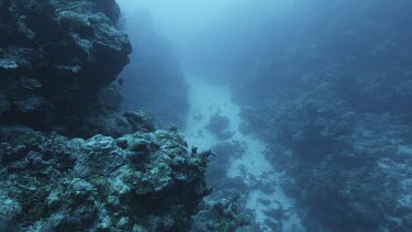 Coral drop off and sandy seabed, shallow waters. Few fish