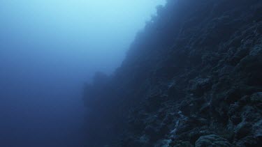eerie underwater seascape with rock on one side. Could look like deep abyss or chasm.