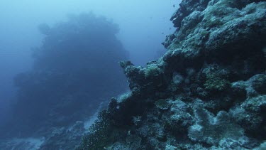 Rocky outcrop with some coral, algae growing over.