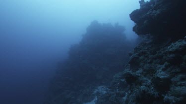 Ocean plate no fish, rock and coral, very eerie shot.