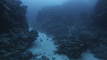 Ocean plate high angle looking down at seafloor, sand, rock, coral reef.