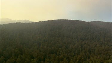 Aerial over forested hills, Tasmania.