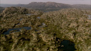 Forests and lake at top of Mountain, Cradle Mountain National Park.