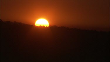Timelapse sunset, red orange ball setting behind silhouette forest.
