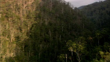 River valley, river meandering through forest.