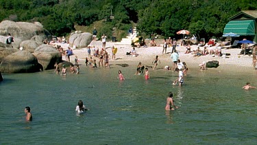 Penguin swims into beach, people swimming in calm water. Penguin makes her way through the people to the beach.