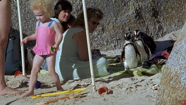 Two penguins on towels, people sitting under umbrellas watching the penguins.