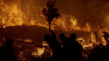 People trying to put fire out by beating it with branches.