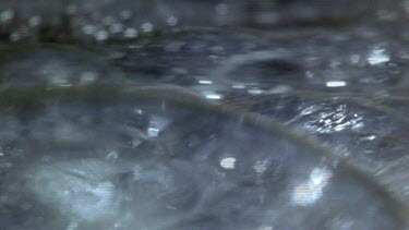 Bubbles float on stream