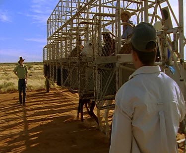 Horse racing in outback. Stalls. Pony races. Running with horses ponies. Rural