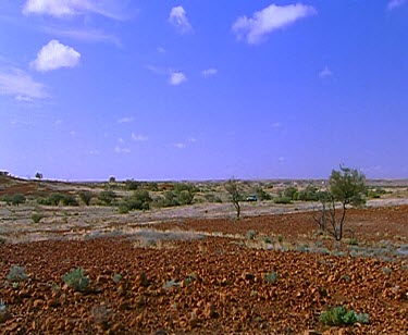 4 WD Four wheel-drive in outback, Emu's