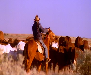 Cattle station. Cowboys dismount horses at sunset. Silhouette