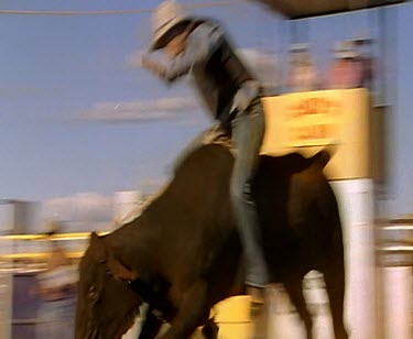 Rodeo bull riding