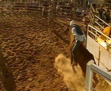 Rodeo bull riding