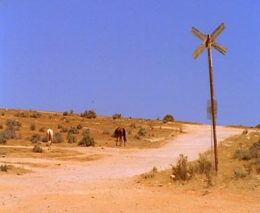 Girl pats horse. Ghost town. Empty forlorn ruins. Ghost town.