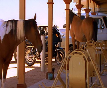 Horses and ghost town.