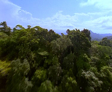 Mountain ranges green forested area, desert and mountains.