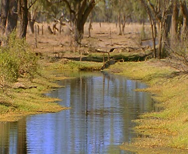 Water in irrigation channels bore drains - channels carrying Bore water from the Great Artesian Basin