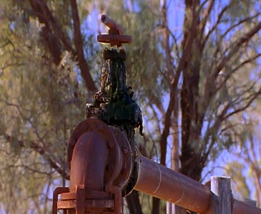 Water in irrigation channels bore drains - channels carrying Bore water from the Great Artesian Basin