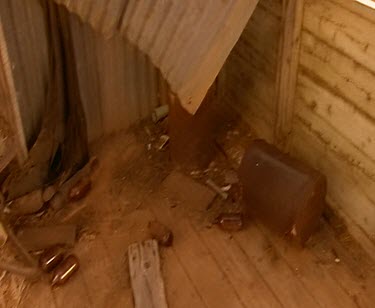 Interior of ruined shack littered with hundreds of beer bottles