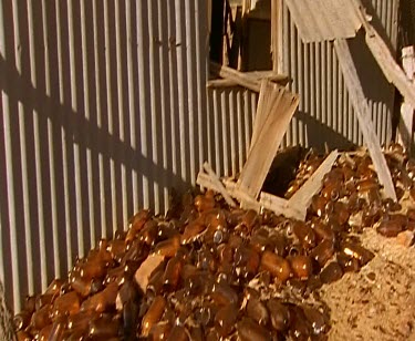 Interior of ruined shack littered with hundreds of beer bottles