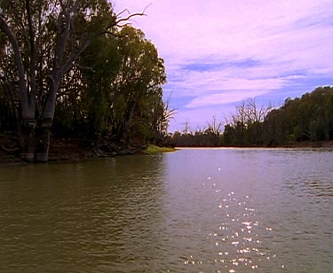 River wide flowing river plain. Pelican Wedge-tailed eagle Major Mitchell cockatoo