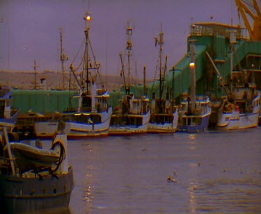 Small commercial fishing boats docked in harbour port. Lots of seagulls flying around.