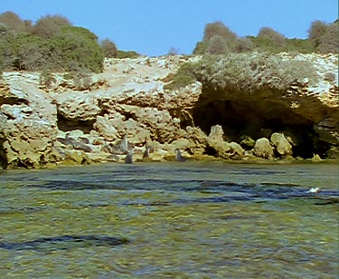 Lying on beach basking