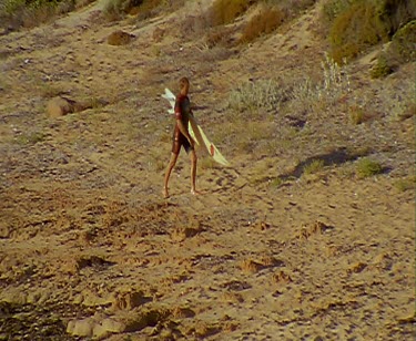 Surfer with surf board walking along beach  Cactus Beach