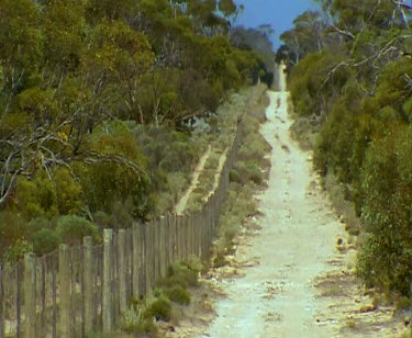 Long shot of Dingo fence. Eyre Peninsula. South Australia. The world's longest fence.