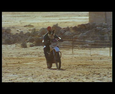 Kelpie sheep dog cute. Riding with man on motorbike. Running