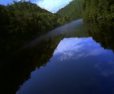 Franklin River and forest