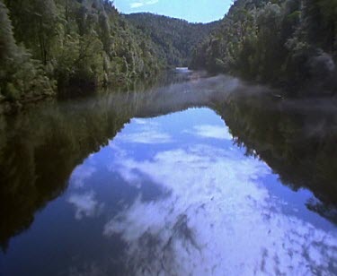 Franklin River and forest