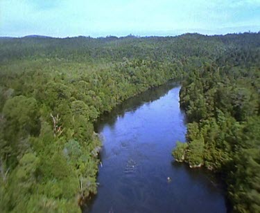 Franklin River and forest