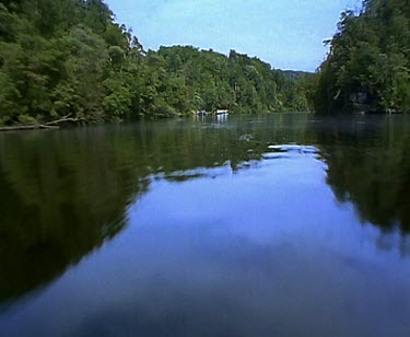 Franklin River and forest