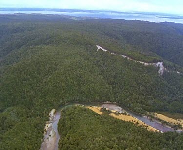 Franklin River and Forest