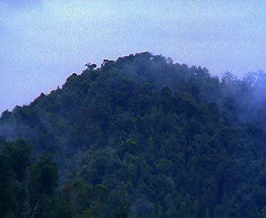 Over forest to Yacht cruising up still river rainforest on banks.