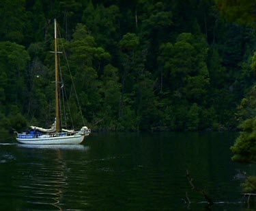 Yacht cruising up still river rainforest on banks.