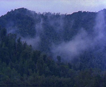 Mist cloud rising up from valley