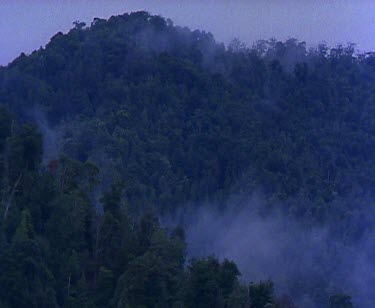 Mist cloud rising up from valley