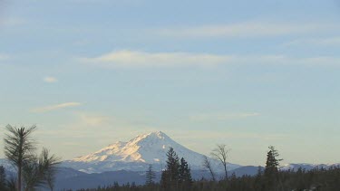 Majestic Mt. Shasta in winter, framed in colored sky and pines