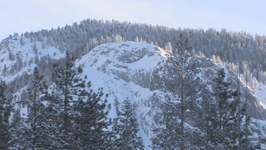 Wintertime Sierra mountains and forest