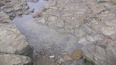 Looking down into a tide pool