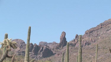 Desert valley with saguaro, cholla cactus, desert brush, rocky hills and blue sky