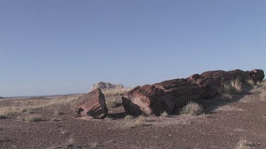 Grassy desert prairie plains with blue sky, clouds and petrified log